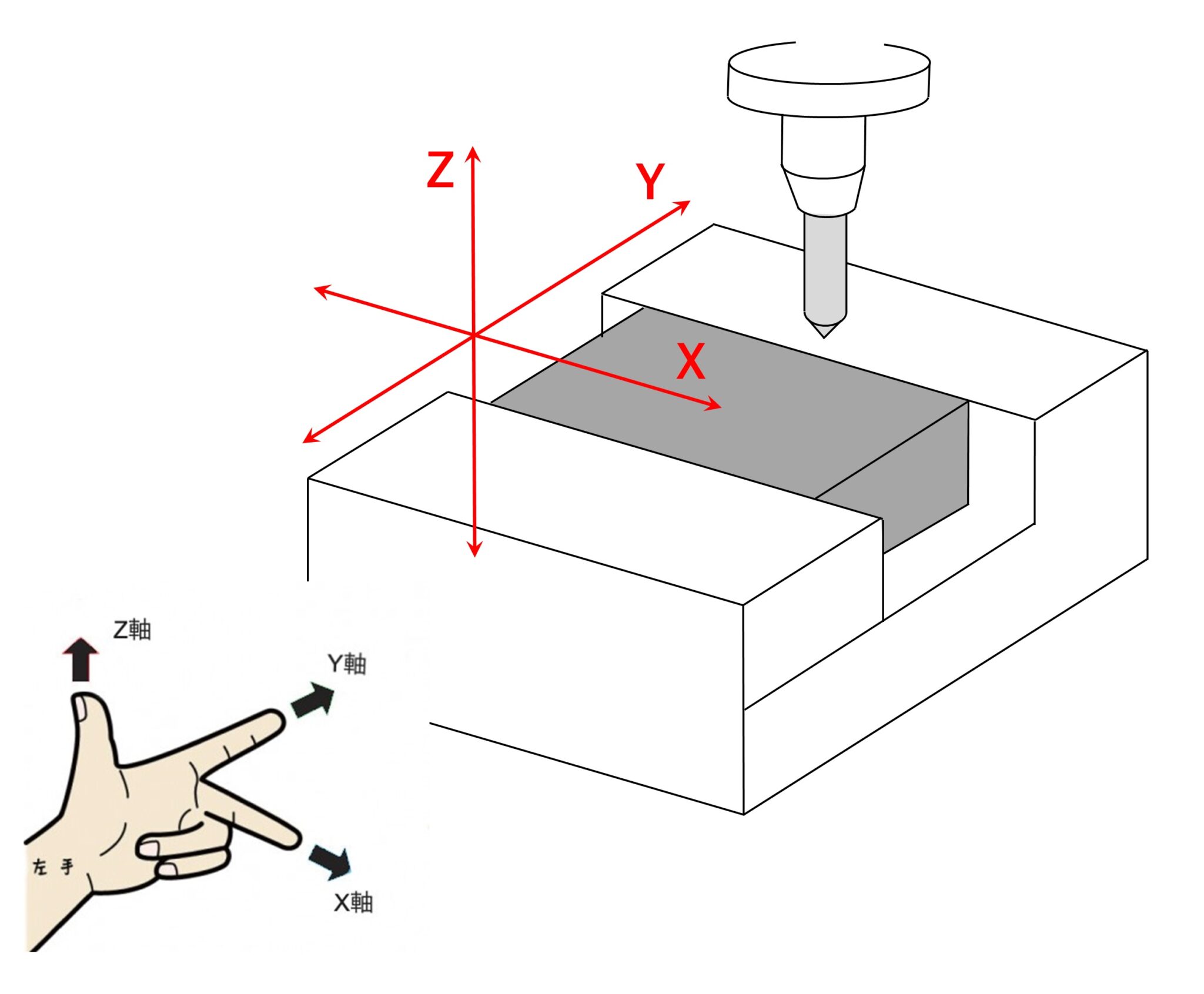 ソース画像を表示